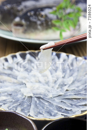 ふぐ刺し 7386024