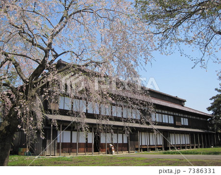 桜と松ヶ岡開墾記念館 7386331