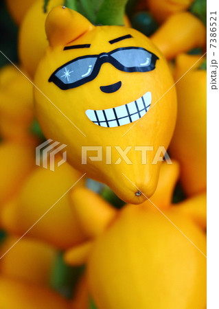 顔のついた実 7386521