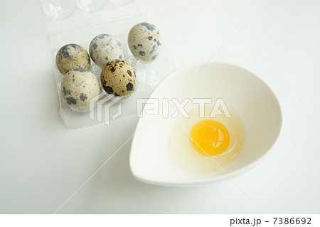 ウズラの卵 ウズラの卵 7386692