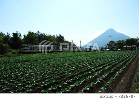 指宿・西大山駅と開聞岳 7386787