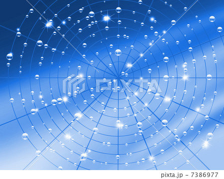 くもの巣と水滴 7386977
