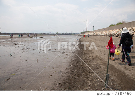 中津川河口　 7387460