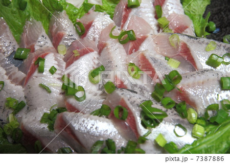 イワシのお造り イワシのお造り 7387886