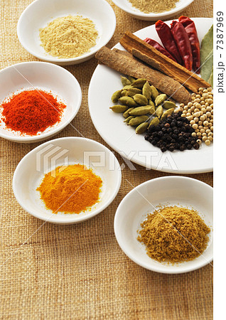インド料理の基本スパイス インド料理の基本スパイス 7387969