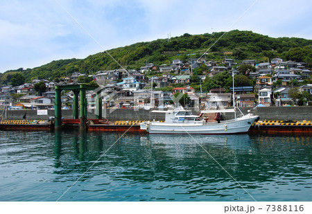 湯島の港 7388116