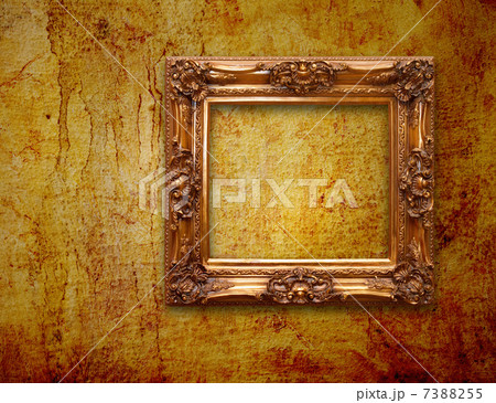 frame 7388255