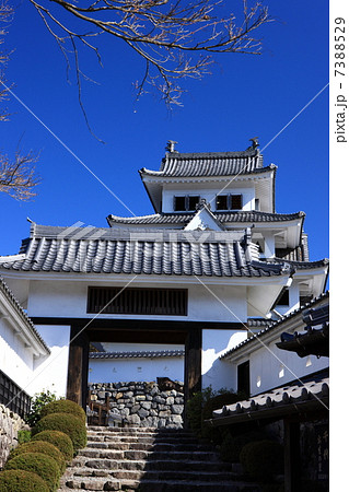 郡上八幡城 7388529