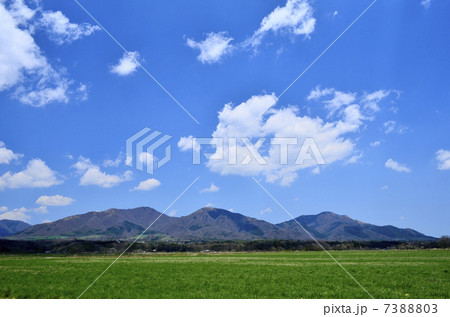 蒜山高原 蒜山高原 7388803