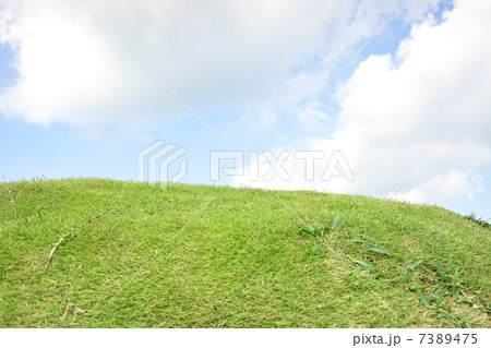 Grass close up view 7389475