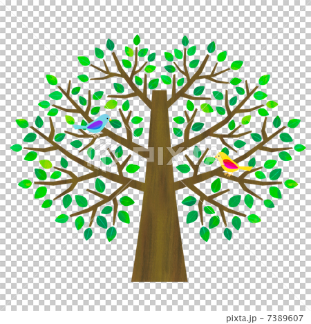大きな木と小鳥 7389607
