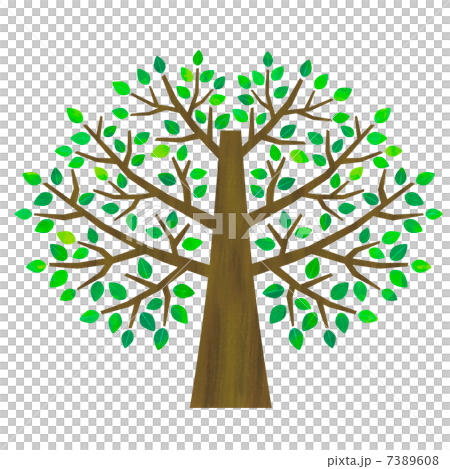 大きな木 大きな木 7389608
