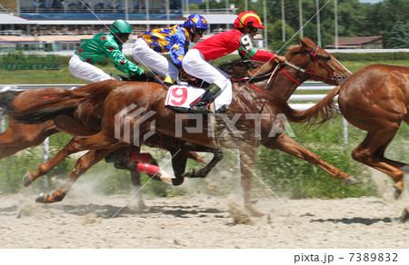 Horse racing at the hippodrome in Pyatigorsk. 7389832