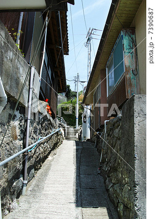 湯島の集落 路地裏 湯島の集落 路地裏 7390687