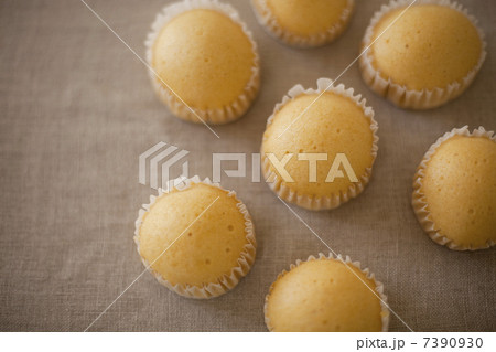 蒸しパン 蒸しパン 7390930