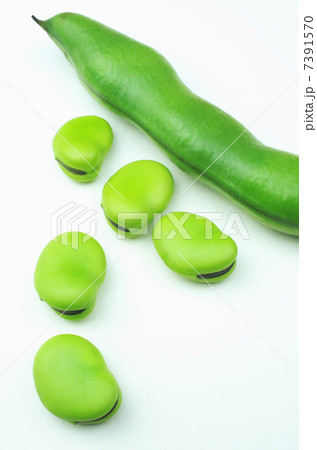 ソラマメ剥いた ソラマメ剥いた 7391570