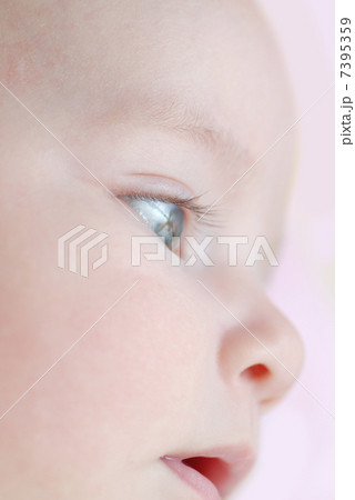 beautiful girl portrait beautiful girl portrait 7395359
