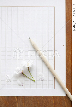 原稿用紙と桜の花 原稿用紙と桜の花 7397134