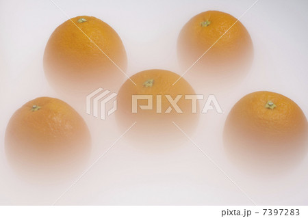 オレンジ 7397283
