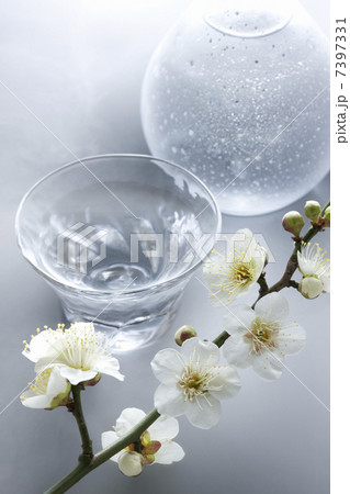 日本酒と梅の花 7397331