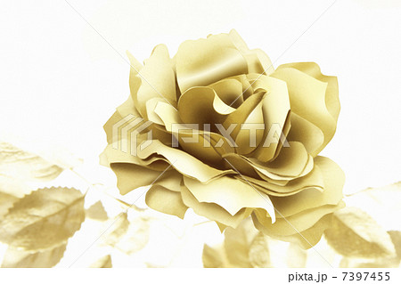金のバラ 7397455
