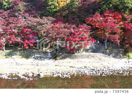 香嵐渓の紅葉 香嵐渓の紅葉 7397456