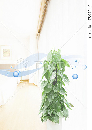 クリーンな空気 7397516