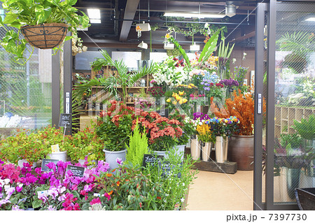 花屋さん 7397730