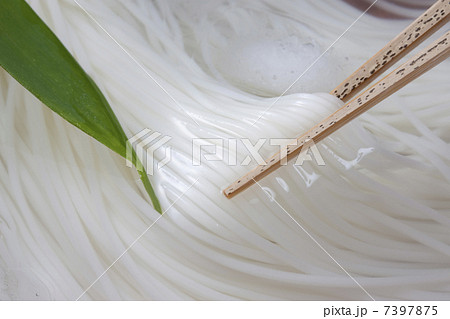 そうめん そうめん 7397875