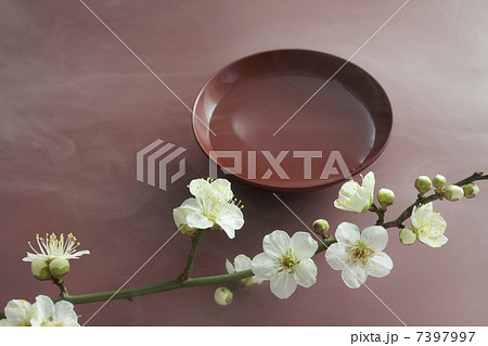 梅の花と盃 7397997
