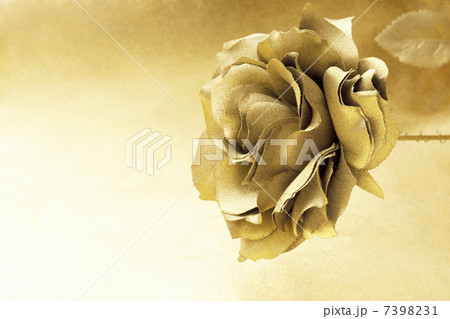 金のバラ 7398231