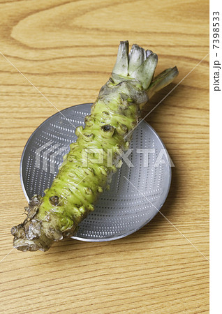ワサビ 7398533