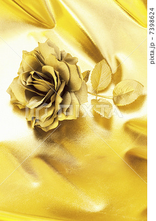 金のバラの写真素材 [7398624] - PIXTA