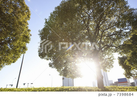 みなとみらい 7398684