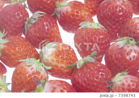 イチゴ 7398743