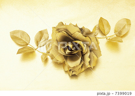 金のバラ 金のバラ 7399019