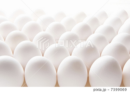 タマゴ タマゴ 7399069