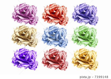 バラの花 7399148