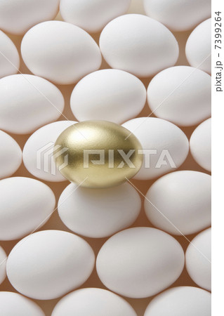 金の卵 金の卵 7399264
