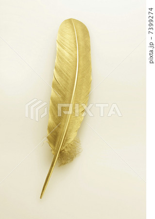 金の羽 7399274