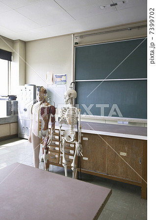 理科室 理科室 7399702