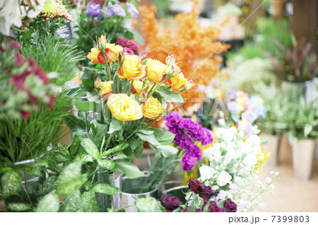 花屋さん 7399803