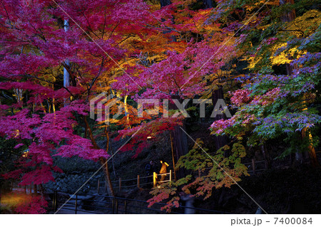 香嵐渓の紅葉 香嵐渓の紅葉 7400084