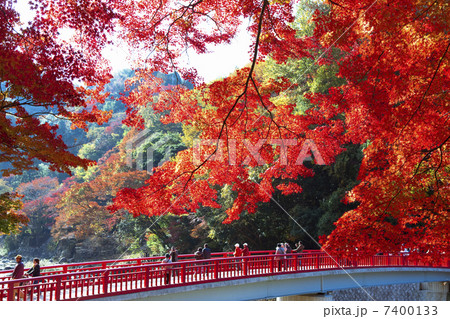 香嵐渓の紅葉 7400133