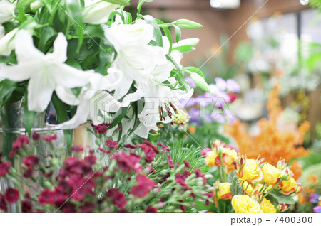 ユリの花 7400300