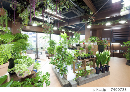 花屋さん 7400723