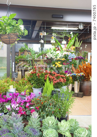 花屋さん 7400765