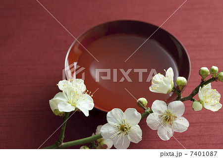 梅の花と盃 梅の花と盃 7401087