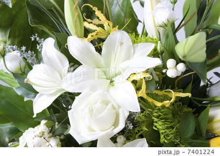 ユリの花 ユリの花 7401224