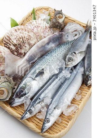 魚介盛り合わせ 魚介盛り合わせ 7401347